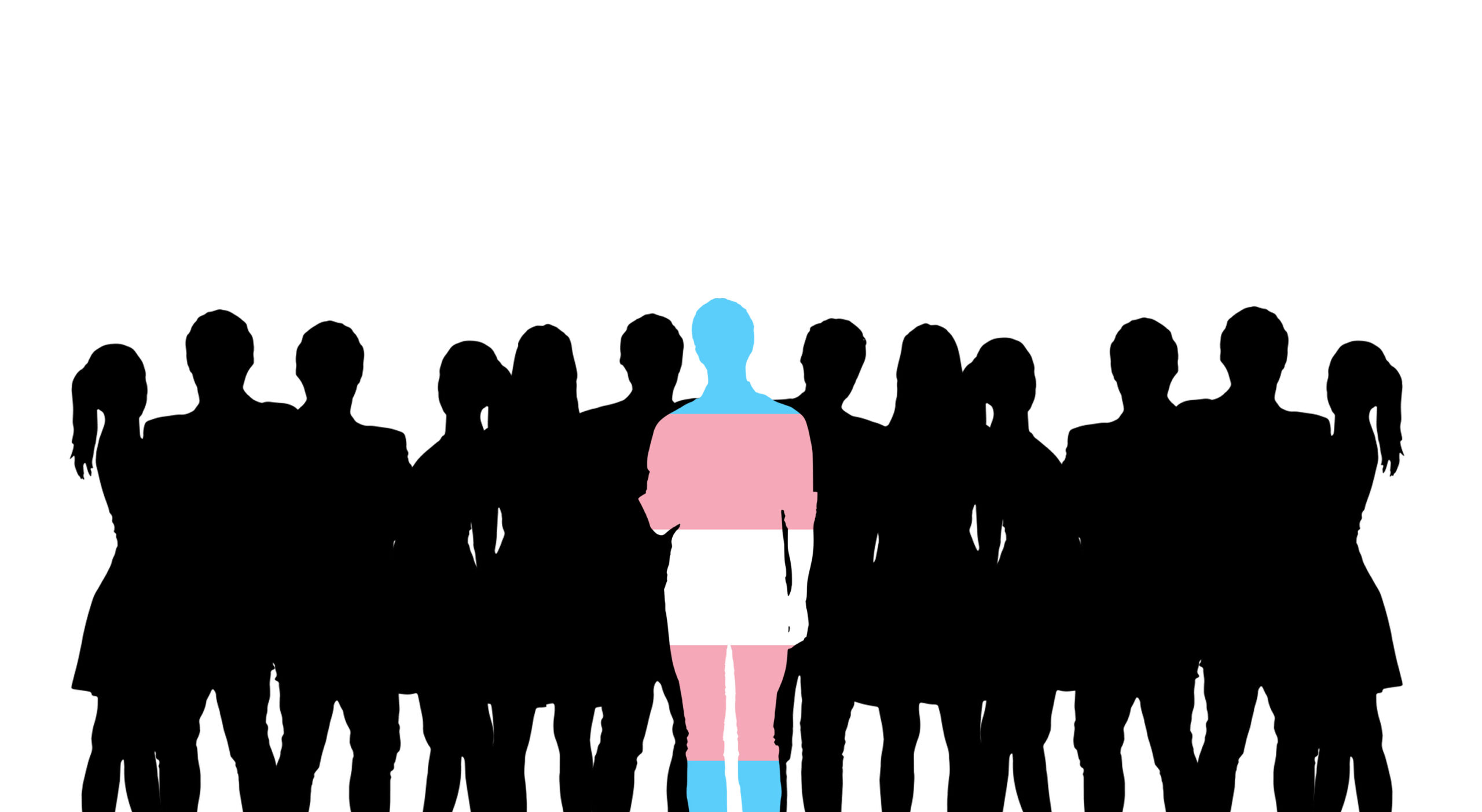 Graphic image of a group of people in silhouette with one person in the middle painted with the trans flag colors